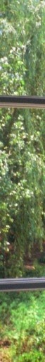 jonesrh old backyard slice 0 64x512