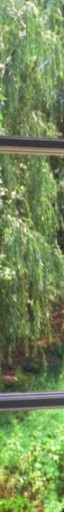 jonesrh old backyard slice 1 64x512